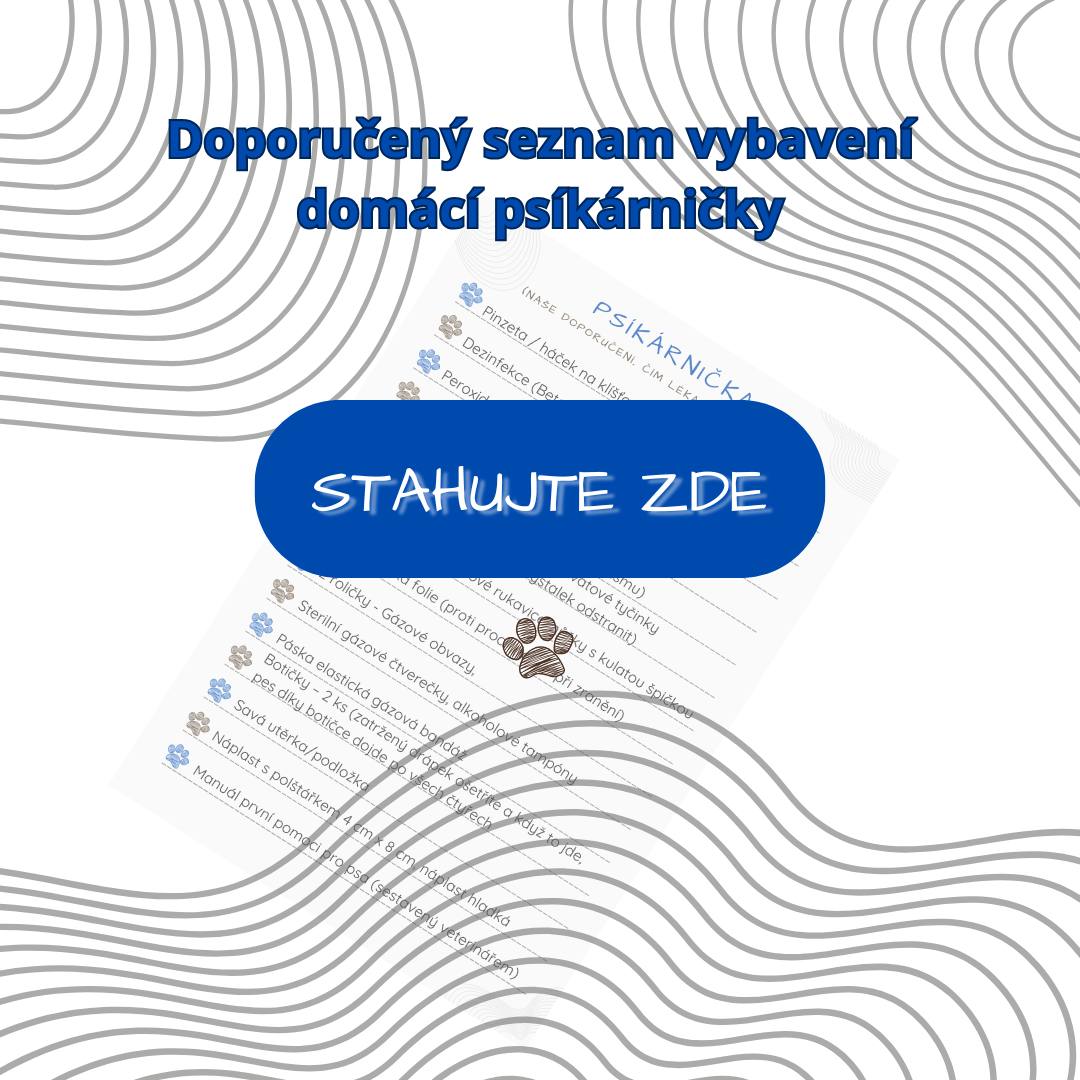 STAHUJTE ZDE (2)